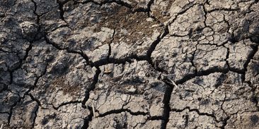 Českou krajinu čeká změna. Zemědělci budou muset ornici zakrývat