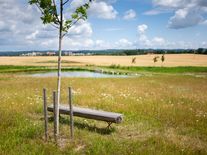 Adapterra Awards otevírá nominace. Ocení i zemědělské projekty posilující odolnost krajiny