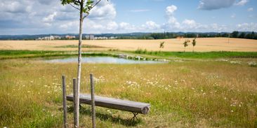 Adapterra Awards otevírá nominace. Ocení i zemědělské projekty posilující odolnost krajiny