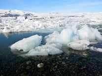 Nenechte se zmást vánočními teplotami kolem nuly. Rok 2024 se zapíše do klimatické historie jako rekordně teplý