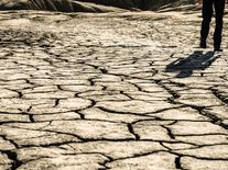 Česko vysychá. Osm měsíců bez přestávky chybí srážky, varuje meteorolog