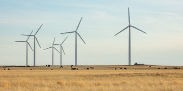 Zisky z drahých paliv rostou. Jen v Česku by stačily na 17 větrných elektráren měsíčně