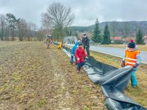 Zábrany podél silnici zachrání až 40 tisíc zvířat ročně. Peníze na ně ale chybí