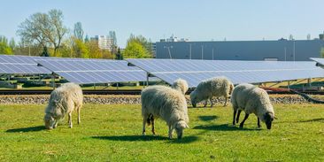 Mýty a fakta o solárních panelech: odumírají výrazně dříve, nebo jsou i po letech v dobré kondici?