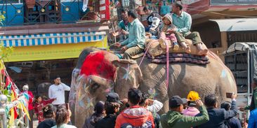 V Indonésii už se na slonech nesvezete, země zakázala kontroverzní turistickou atrakci