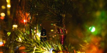 Kolik stojí vánoční elektřina? Světýlka vypínat nemusíte, dražší je příprava večeře nebo cukroví