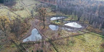 Češi mění tůně v rybníky, vysazují kapry a karase. Škodí tím přírodě
