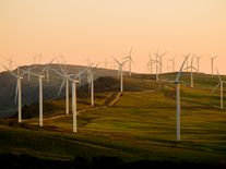 Týden v OZE: Politici neví, kam dřív, záporné ceny tvoří nový energetický paradox