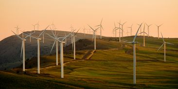 Týden v OZE: Politici neví, kam dřív, záporné ceny tvoří nový energetický paradox