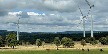 Krajské volby rozhodnou i o větrných a solárních parcích. Kandidáti se jim ale vyhýbají