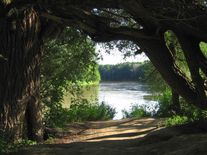 Soutok zůstává chráněný. Klimatická žaloba však u Ústavního soudu neuspěla