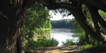 Soutok zůstává chráněný. Klimatická žaloba však u Ústavního soudu neuspěla