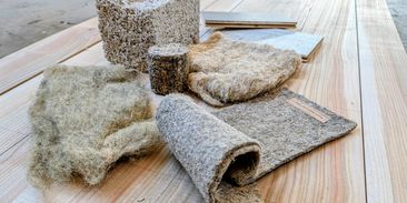 Konopí jako nový stavební materiál? Mohlo by nahradit i beton