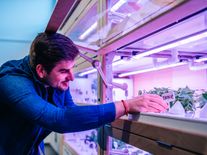 Bez půdy a s minimem vody. Česká firma dodá na Ukrajinu hydroponický kontejner